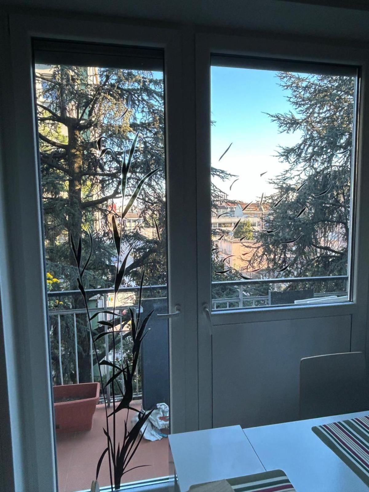 Your Place In Apartamento